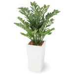 人工植物 ニューザミア    1.0m タカショー