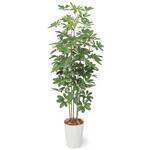 人工植物 シェフレラ    1.7m タカショー