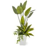 GD-241 人工植物 ストレリチア   寄植付 1.2m タカショー