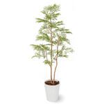 人工植物 エバーフレッシュ   鉢付 1.5m タカショー