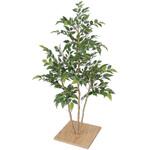 GD-123 人工植物 ミニフィカス   板付 80cm タカショー