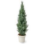 人工植物 ヒバツリー ライトグリーン   1.5m タカショー