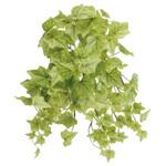 人工植物 リアルアイビー ライム タカショー