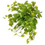 人工植物 リアルアイビー ブッシュ タカショー