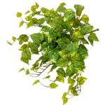 人工植物 リアルポトス タカショー