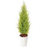人工植物 ゴールドクレスト ゴールド タカショー