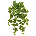 人工植物 オランダアイビー タカショー