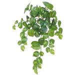 人工植物 ポトス タカショー