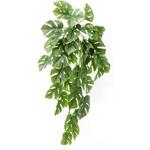 人工植物 スプリットフィロ タカショー