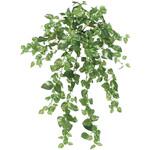 人工植物 ポトスブッシュ    L50cm タカショー