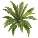 人工植物 タニワタリ    W50cm タカショー