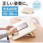 傾斜台 卓上用 サンワダイレクト