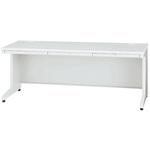 RJデスクII 平机 奥行600mmロングタイプ(組立サービス付き) プラス(家具)
