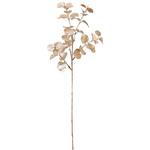 フォイルユーカリスプレー MAGIQ(東京堂)