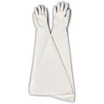 KGB-germF400-1 コクゴ