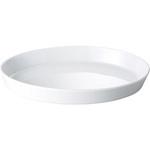 白磁小判ベーカー カネ大白木屋