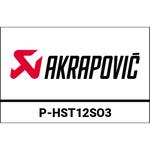 P-HST12SO3 ヒートシールド (ステンレススチール) Triumph Bonneville T120 (2016-2020) AKRAPOVIC (アクラポビッチ)