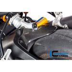 KHO.017.D12MG.K カーボンパーツ リアハガー Ducati Monster 1200S グロス ILMBERGER (イルムバーガーカーボンパーツ)