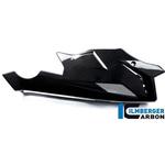 VEU.215.S100N.K カーボンパーツ イルムバーガー ベリーパンカーボン BMW S 1000 R ILMBERGER (イルムバーガーカーボンパーツ)
