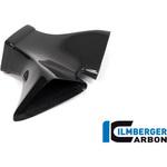 VOA.052.D4RAG.K カーボンパーツ エアインテーク フロントフェアリング グロス Panigale V4 Racing ILMBERGER (イルムバーガーカーボンパーツ)