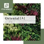 moreleaf oriental ノーブランド