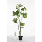 ウンベラータポット グリーン 【エコマーク取得品】 日本ビダヤコム
