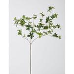 どうだんつつじ H99cm グリーン 【エコマーク取得品】 日本ビダヤコム