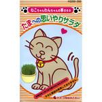 [タネ】えん麦 たまへの思いやりサラダ (猫草) カネコ種苗
