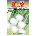 [タネ】かぶ ゆきわらし カネコ種苗 野菜の種 通年 【通販モノタロウ】