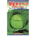 [タネ】早生キャベツ いろどり カネコ種苗