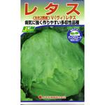 [タネ】レタス V(ヴィ)レタス カネコ種苗