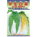 タネ】早生白菜 黄望峰65 カネコ種苗 野菜の種 秋まき 【通販モノタロウ】