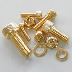 24K メッキ ステンレスキャップボルト M10 P1.25 CF POSH