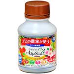 アルゲリッチ ニッソーグリーン