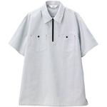 CAREAN 半袖シャツ カーシーカシマ