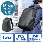 200-BAGBP025BK キャリングバッグ サンワダイレクト