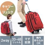 200-BAGCR006R キャリングバッグ サンワダイレクト