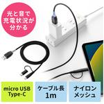 USB TypeCケーブル サンワダイレクト