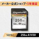 UHS-1，U3，C10 SDXCカード Gigastone