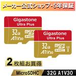 A1V30クラス Nintendo Switch確認済マイクロSDカード 2枚セット Gigastone