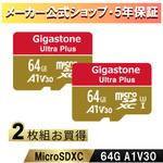 A1V30クラス Nintendo Switch確認済マイクロSDカード 2枚セット Gigastone
