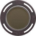 平面遠州透 アミ目 ツキエス