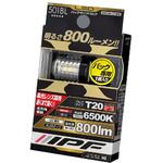 LEDバック球 IPF