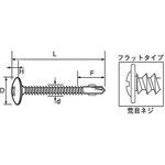 フラッシュポイントシンワッシャーリーマ(鉄/3価ホワイト)(小箱) 大阪魂