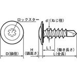 ロックスター(ウルトララインリセス)モドトラス(クリーム)(鉄)(小箱) 大阪魂