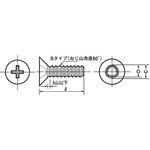 M1.7×3.0 (+)0番1種Bタイプ皿(ステンレス/ブラック) (小箱) 大阪魂