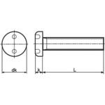 M6×16 TRF/いたずら防止用ねじステンレスツー・ホールナベ小ねじ(ステンレス/アロック)  (小箱) 日本パワーファスニング
