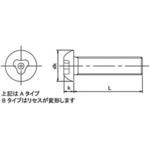 TRF/いたずら防止用ねじステンレストライクルAボタン小ねじ(ステンレス)  (小箱) 日本パワーファスニング