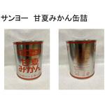 2号缶 SUNYO 甘夏みかんL(ヘビー・シラップ)缶詰 サンヨー堂