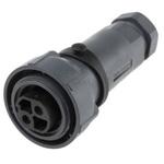 PXP7010/02S/ST/1113 PXP7010/02S/ST/1113 BULGIN